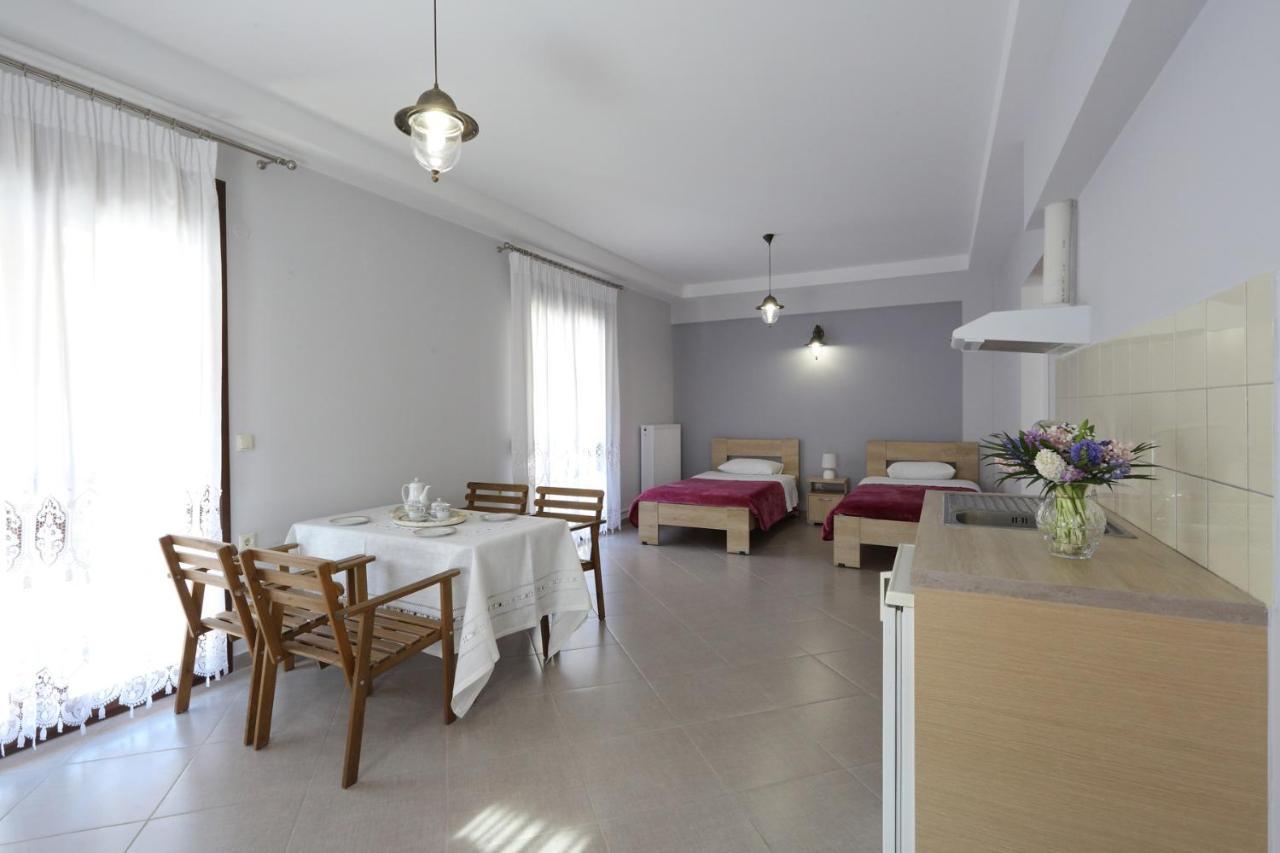 Olga Dova Apartment Ioannina